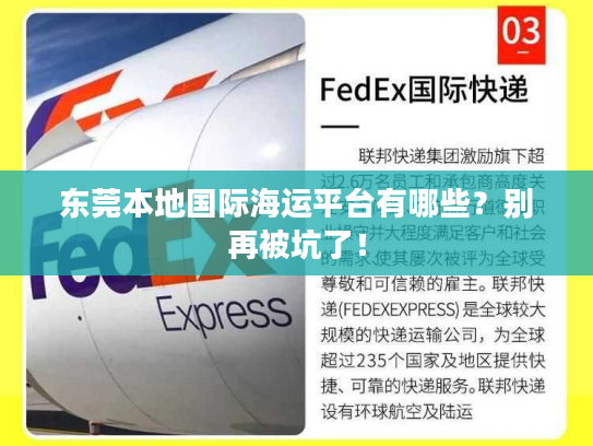 东莞本地国际海运平台有哪些？别再被坑了！