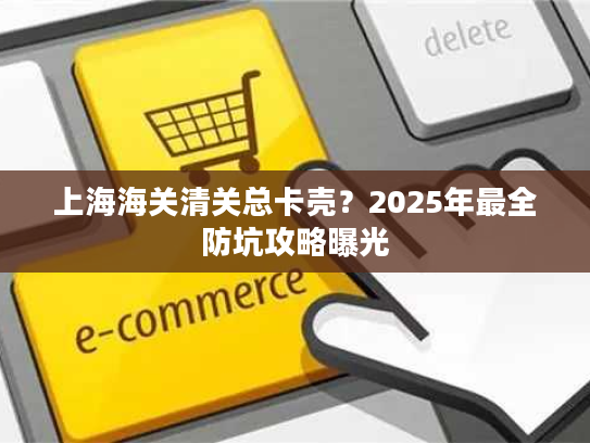 上海海关清关总卡壳？2025年最全防坑攻略曝光