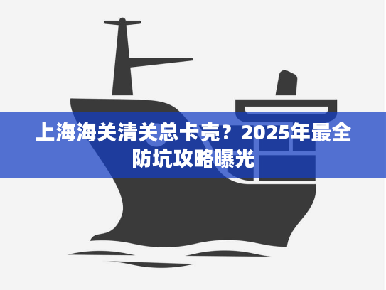 上海海关清关总卡壳？2025年最全防坑攻略曝光