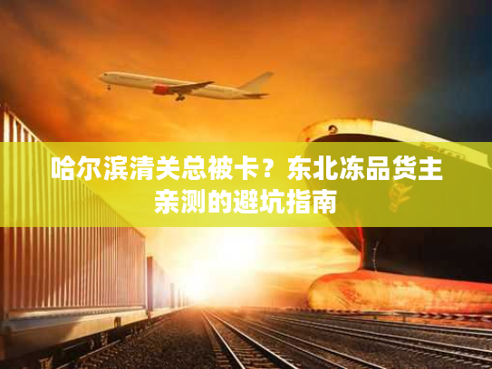 哈尔滨清关总被卡？东北冻品货主亲测的避坑指南