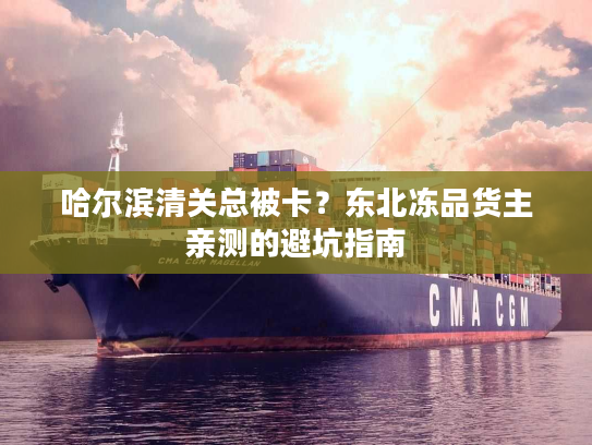 哈尔滨清关总被卡？东北冻品货主亲测的避坑指南