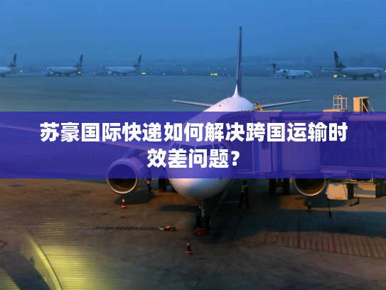 苏豪国际快递如何解决跨国运输时效差问题？