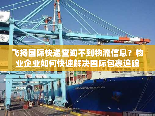 飞扬国际快递查询不到物流信息？物业企业如何快速解决国际包裹追踪难题