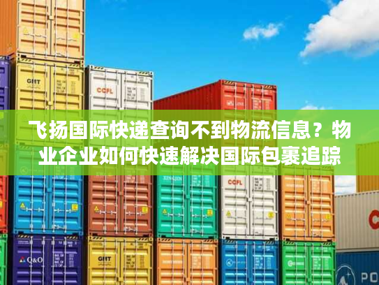 飞扬国际快递查询不到物流信息？物业企业如何快速解决国际包裹追踪难题