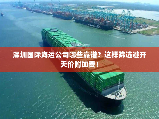 深圳国际海运公司哪些靠谱？这样筛选避开天价附加费！
