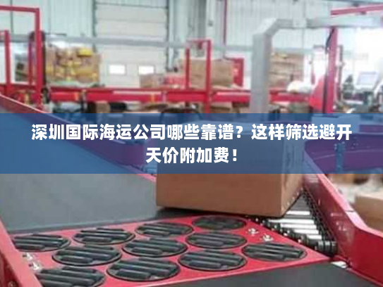 深圳国际海运公司哪些靠谱？这样筛选避开天价附加费！