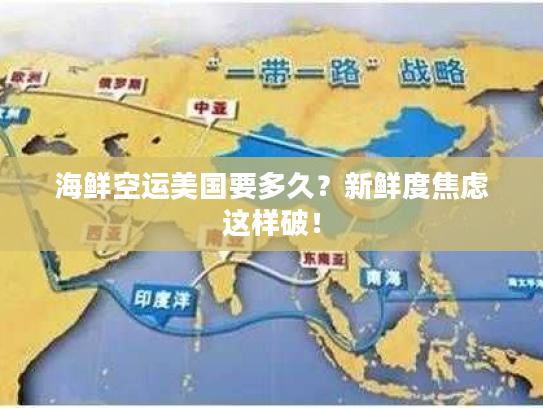 海鲜空运美国要多久？新鲜度焦虑这样破！