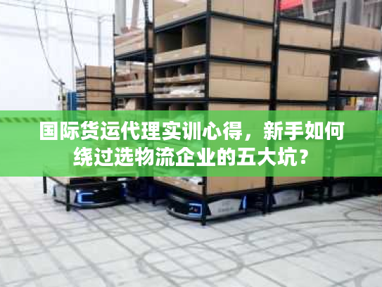 国际货运代理实训心得，新手如何绕过选物流企业的五大坑？