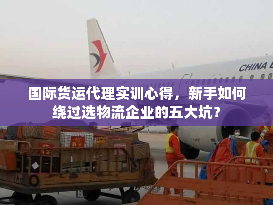 国际货运代理实训心得，新手如何绕过选物流企业的五大坑？