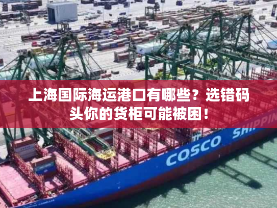 上海国际海运港口有哪些？选错码头你的货柜可能被困！