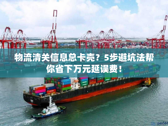 物流清关信息总卡壳？5步避坑法帮你省下万元延误费！