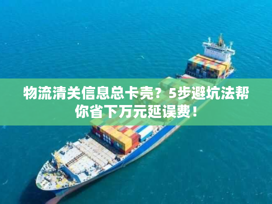 物流清关信息总卡壳？5步避坑法帮你省下万元延误费！