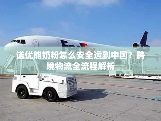 诺优能奶粉怎么安全运到中国？跨境物流全流程解析