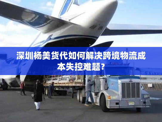 深圳杨美货代如何解决跨境物流成本失控难题？