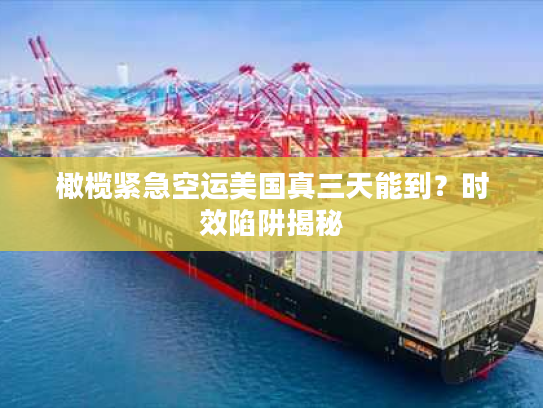 橄榄紧急空运美国真三天能到？时效陷阱揭秘