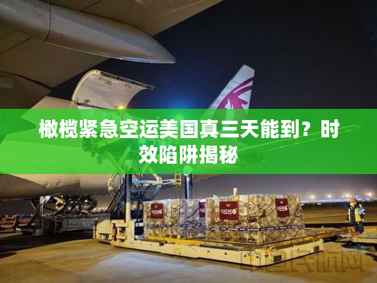 橄榄紧急空运美国真三天能到？时效陷阱揭秘