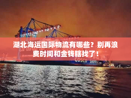 湖北海运国际物流有哪些？别再浪费时间和金钱瞎找了！