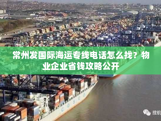 常州发国际海运专线电话怎么找？物业企业省钱攻略公开