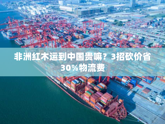 非洲红木运到中国贵嘛？3招砍价省30%物流费