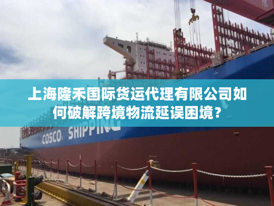 上海隆禾国际货运代理有限公司如何破解跨境物流延误困境? 上海隆禾国际货运代理有限公司如何破解跨境物流延误困境?