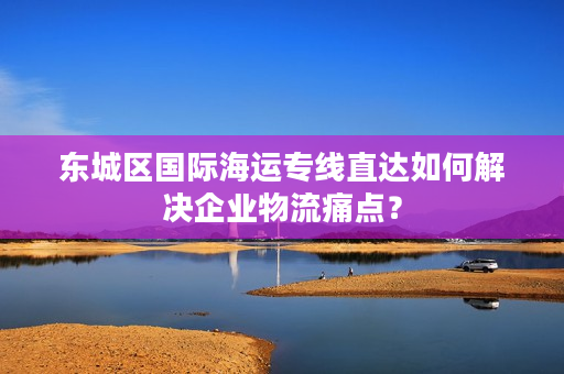 东城区国际海运专线直达如何解决企业物流痛点？