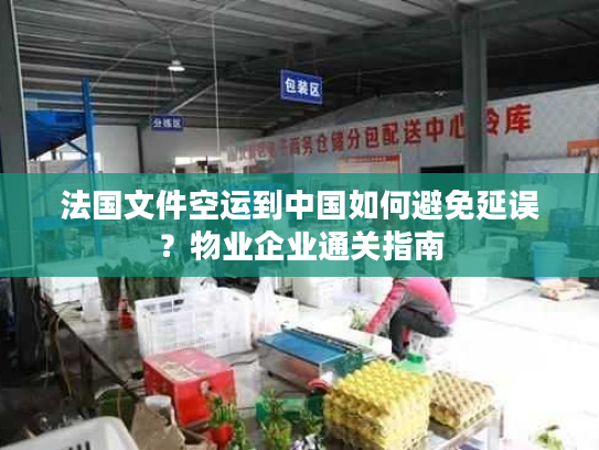 法国文件空运到中国如何避免延误？物业企业通关指南