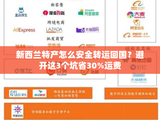 新西兰特产怎么安全转运回国？避开这3个坑省30%运费