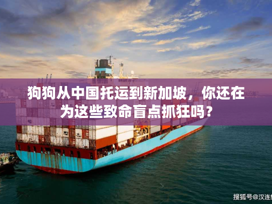 狗狗从中国托运到新加坡,你还在为这些致命盲点抓狂吗? 狗狗从中国托运到新加坡,你还在为这些致命盲点抓狂吗?