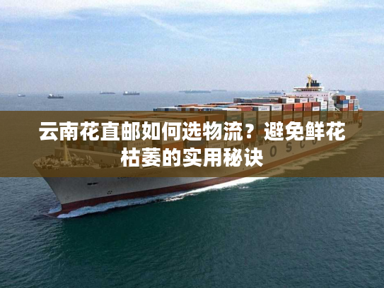 云南花直邮如何选物流?避免鲜花枯萎的实用秘诀 云南花直邮如何选物流?避免鲜花枯萎的实用秘诀