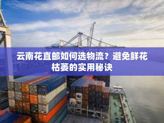 云南花直邮如何选物流？避免鲜花枯萎的实用秘诀