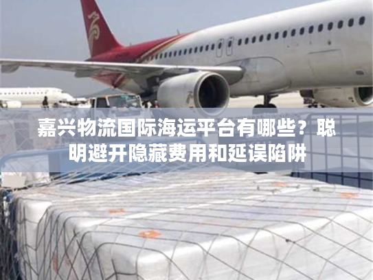 嘉兴物流国际海运平台有哪些？聪明避开隐藏费用和延误陷阱