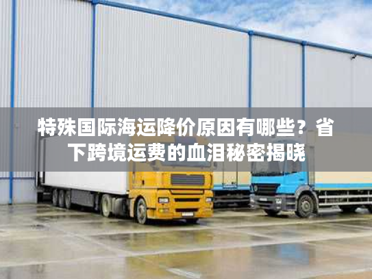 特殊国际海运降价原因有哪些？省下跨境运费的血泪秘密揭晓