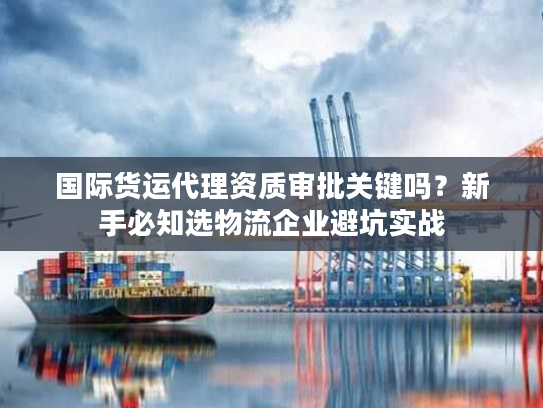 国际货运代理资质审批关键吗？新手必知选物流企业避坑实战