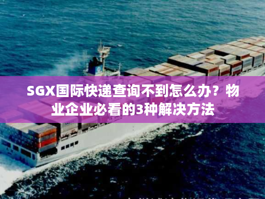 SGX国际快递查询不到怎么办？物业企业必看的3种解决方法