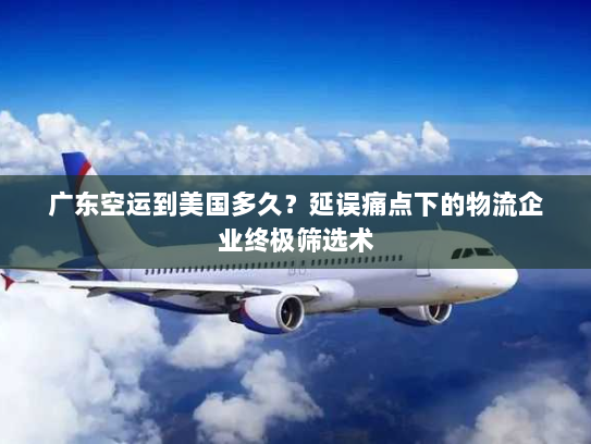 广东空运到美国多久?延误痛点下的物流企业终极筛选术 广东空运到美国多久?延误痛点下的物流企业终极筛选术