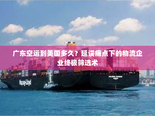 广东空运到美国多久?延误痛点下的物流企业终极筛选术 广东空运到美国多久?延误痛点下的物流企业终极筛选术