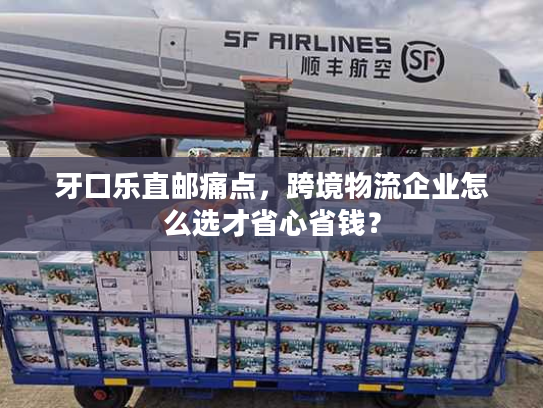 牙口乐直邮痛点，跨境物流企业怎么选才省心省钱？