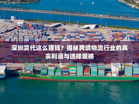 深圳货代这么赚钱？揭秘跨境物流行业的真实利润与选择策略