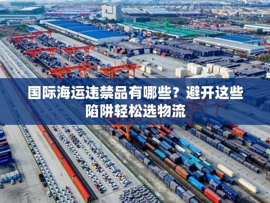 国际海运违禁品有哪些?避开这些陷阱轻松选物流 国际海运违禁品有哪些?避开这些陷阱轻松选物流