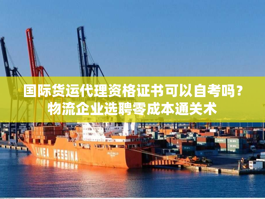 国际货运代理资格证书可以自考吗？物流企业选聘零成本通关术