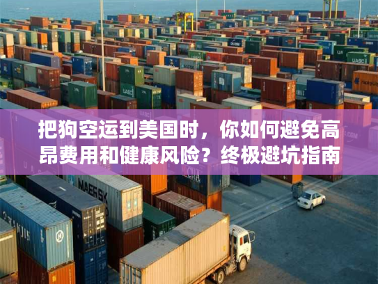 把狗空运到美国时，你如何避免高昂费用和健康风险？终极避坑指南