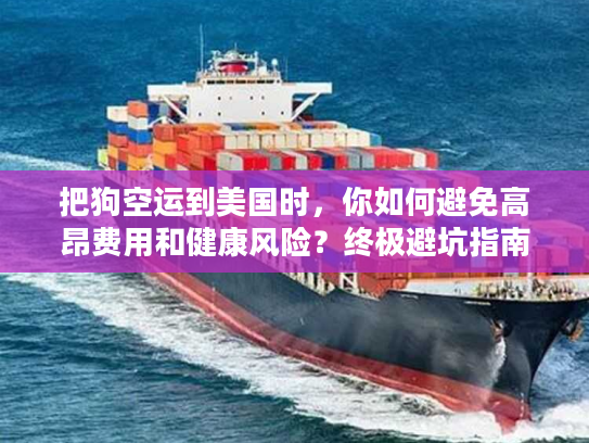 把狗空运到美国时，你如何避免高昂费用和健康风险？终极避坑指南