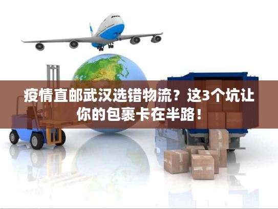疫情直邮武汉选错物流?这3个坑让你的包裹卡在半路! 疫情直邮武汉选错物流?这3个坑让你的包裹卡在半路!