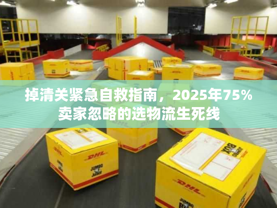 掉清关紧急自救指南，2025年75%卖家忽略的选物流生死线
