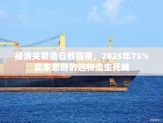 掉清关紧急自救指南，2025年75%卖家忽略的选物流生死线