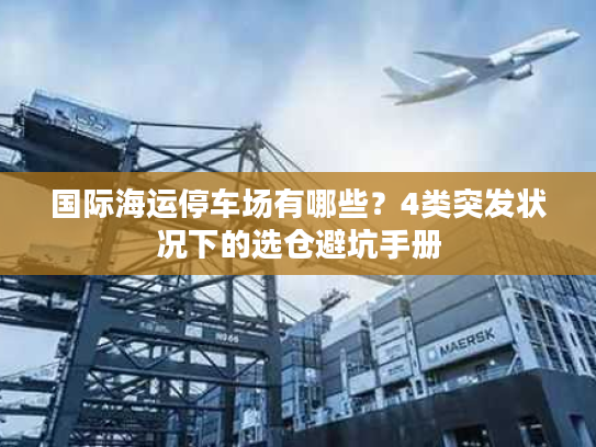国际海运停车场有哪些？4类突发状况下的选仓避坑手册
