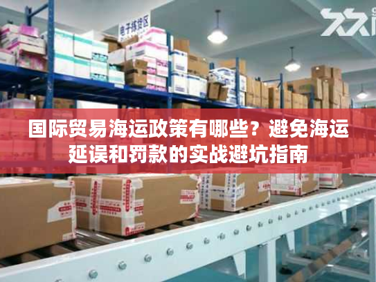 国际贸易海运政策有哪些？避免海运延误和罚款的实战避坑指南