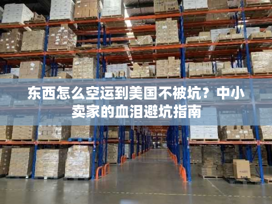 东西怎么空运到美国不被坑？中小卖家的血泪避坑指南