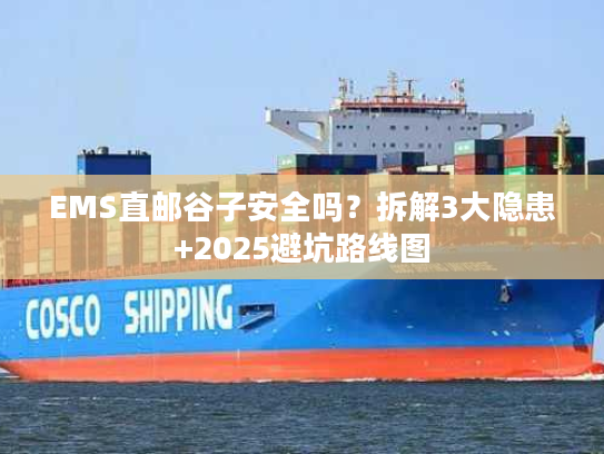 EMS直邮谷子安全吗？拆解3大隐患+2025避坑路线图