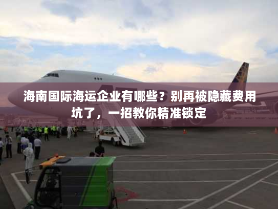 海南国际海运企业有哪些?别再被隐藏费用坑了,一招教你精准锁定 海南国际海运企业有哪些?别再被隐藏费用坑了,一招教你精准锁定